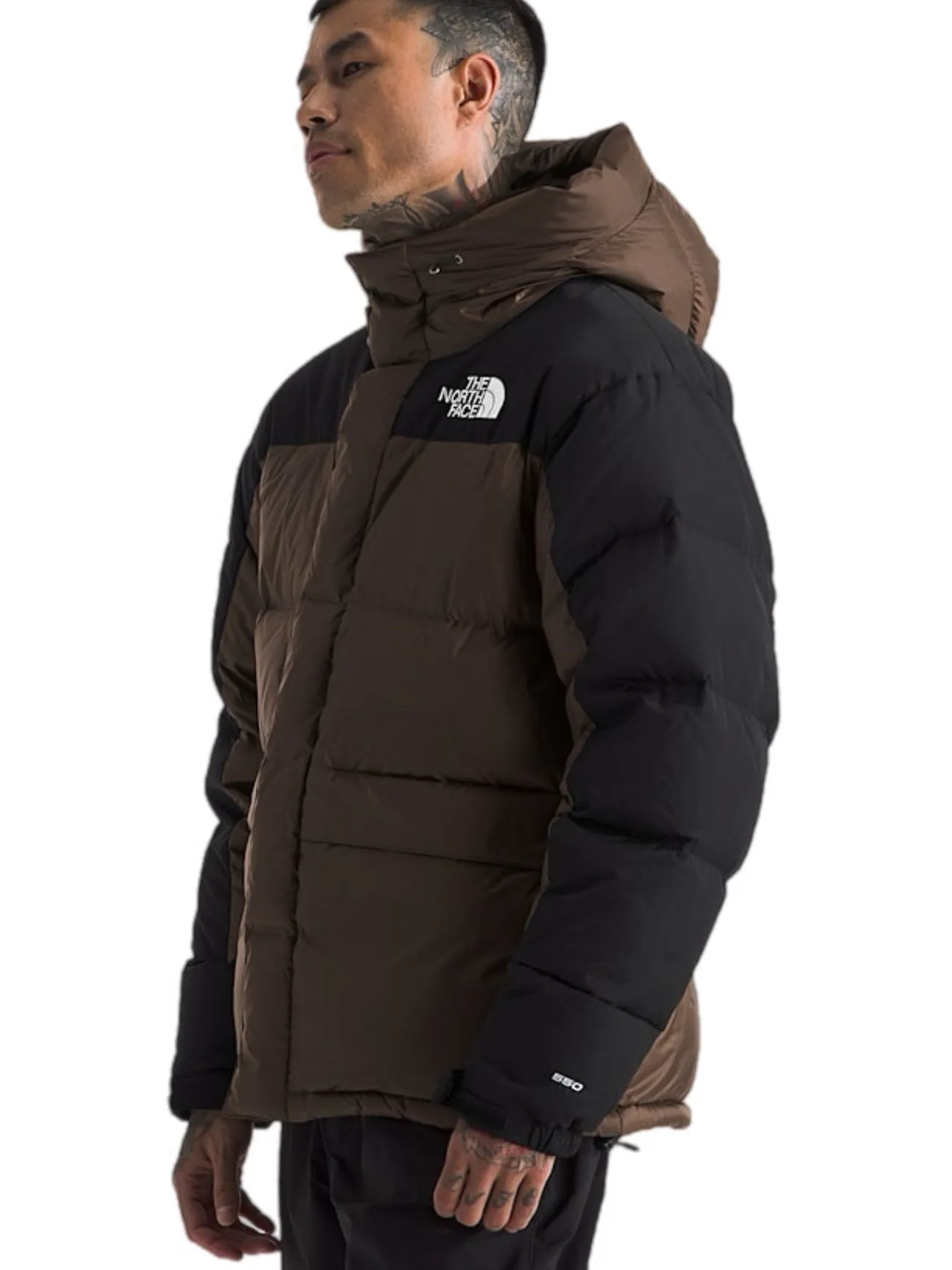 The North Face Men's Hmlyn Baltoro Jacket